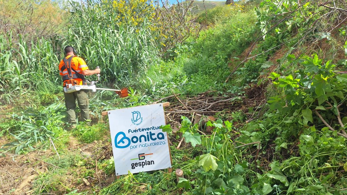 The Cabildo Removes 220 Cubic Meters of Waste in a Major Cleanup of 14 Ravines in Betancuria.